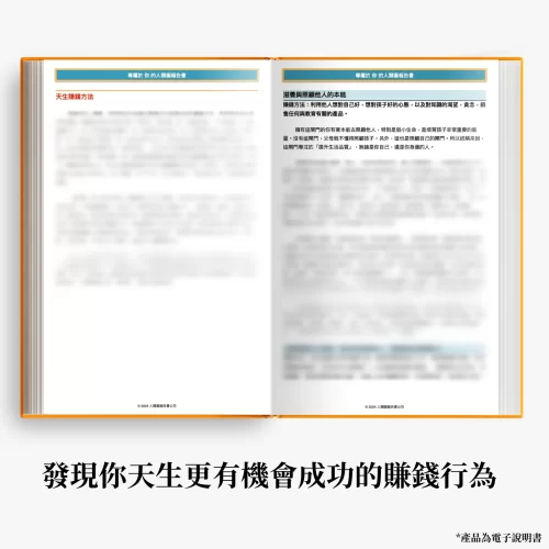 人類圖報告書賺錢方法介紹產品圖11